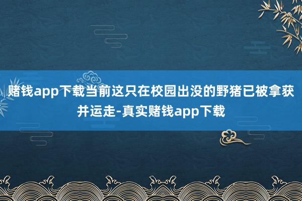 赌钱app下载当前这只在校园出没的野猪已被拿获并运走-真实赌钱app下载