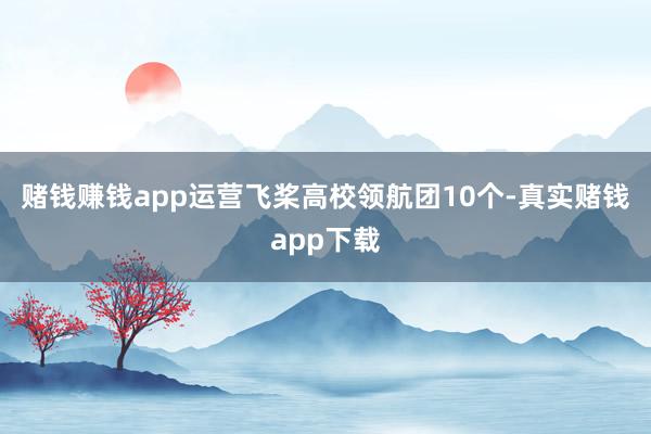 赌钱赚钱app运营飞桨高校领航团10个-真实赌钱app下载