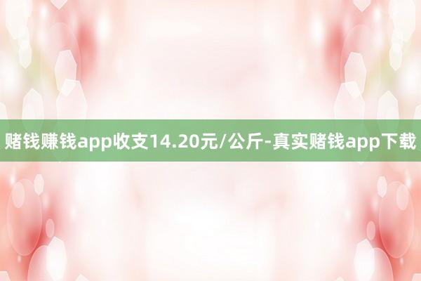 赌钱赚钱app收支14.20元/公斤-真实赌钱app下载