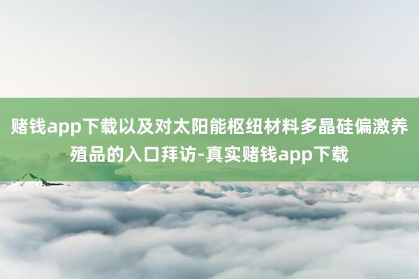 赌钱app下载以及对太阳能枢纽材料多晶硅偏激养殖品的入口拜访-真实赌钱app下载