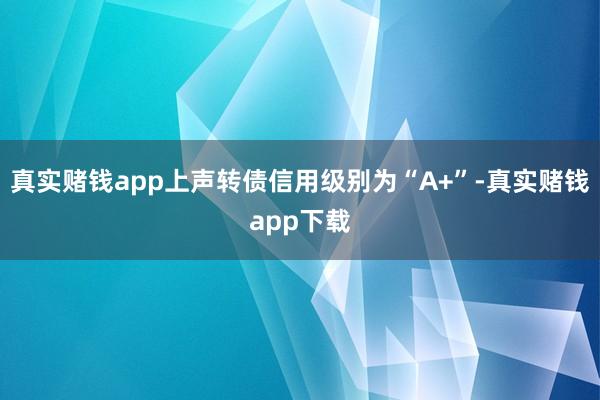 真实赌钱app上声转债信用级别为“A+”-真实赌钱app下载