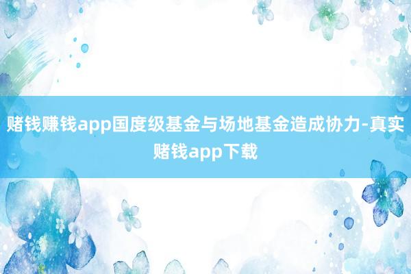 赌钱赚钱app国度级基金与场地基金造成协力-真实赌钱app下载