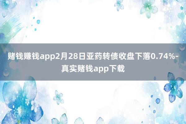 赌钱赚钱app2月28日亚药转债收盘下落0.74%-真实赌钱app下载