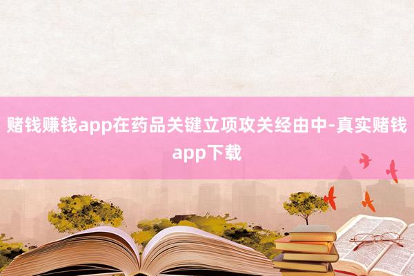 赌钱赚钱app在药品关键立项攻关经由中-真实赌钱app下载