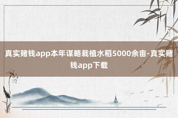真实赌钱app本年谋略栽植水稻5000余亩-真实赌钱app下载