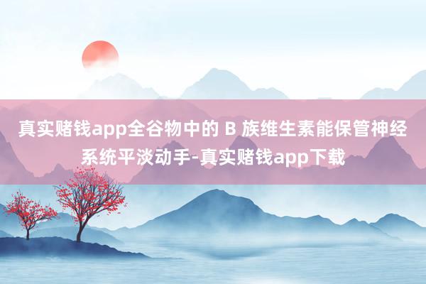 真实赌钱app全谷物中的 B 族维生素能保管神经系统平淡动手-真实赌钱app下载