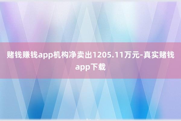 赌钱赚钱app机构净卖出1205.11万元-真实赌钱app下载