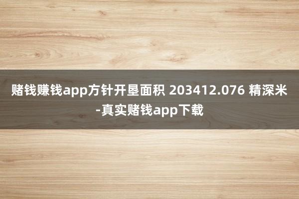 赌钱赚钱app方针开垦面积 203412.076 精深米-真实赌钱app下载