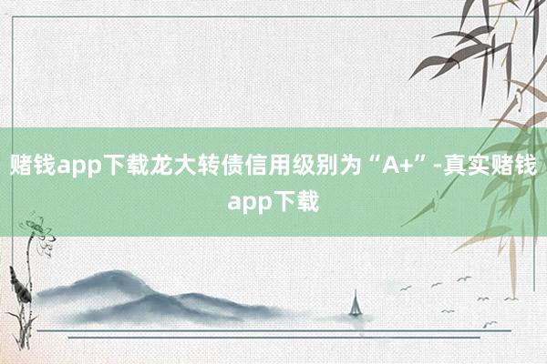 赌钱app下载龙大转债信用级别为“A+”-真实赌钱app下载